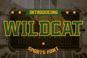 Wildcat – Varsity Sport Typeface
