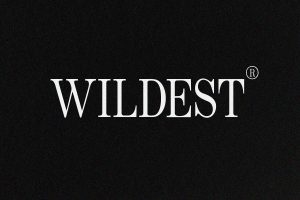 Wildest – Classical Serif
