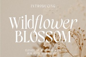 Wildflower Blossom – Modern Serif