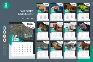 Wildlife Calendar 2020 Calendar – AI, DOC, PSD