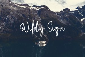 Wildy Sign
