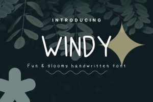 Windy – Clean Handwritten Font