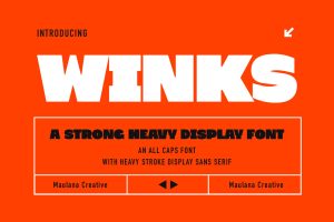 Winks Strong Heavy Display Font