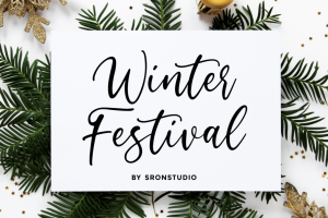 Winter Festival – Modern Script Font