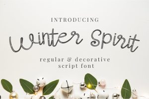 Winter Spirit – Script Font