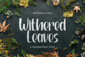 Withered leaves – Handwritten Font