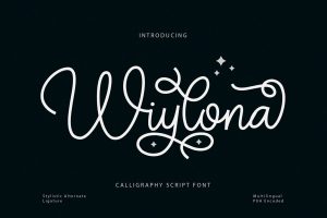 Wiylona – Chic Calligraphy Font