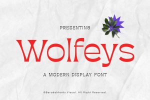 Wolfeys – Thin Sans Serif Display Font