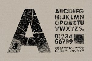 Wood Grain Type