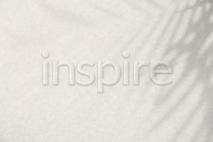 Word inspire embossed vector typography font