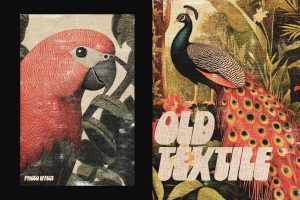 Worn Vintage Textile Old Photo Effect