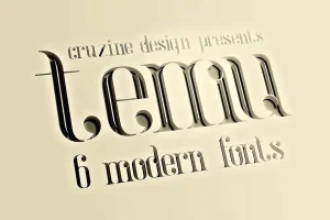 temu – Modern Font