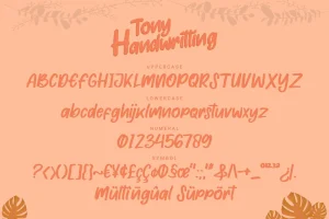 Tony Handwritting – Font