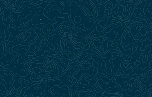 Topographic Map Vector Textures