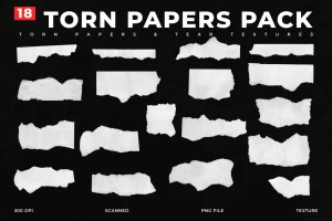 Torn Paper Overlays #03