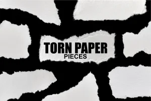 Torn Paper Pieces