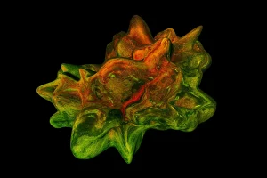 Transparent Liquid Shapes 3D Rendering