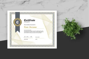 Vintage Decorative Certificate