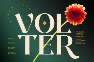 Volter