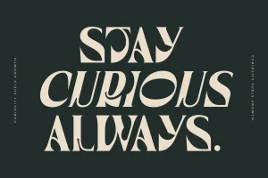 Waflerd Modern Display Serif Font