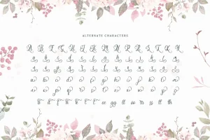 Wedding Script Font