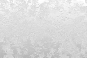 White Frost Winter Backgrounds