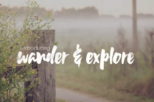 Wildflower Font