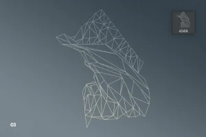 Wireframe Geometric Objects Photoshop Brushes