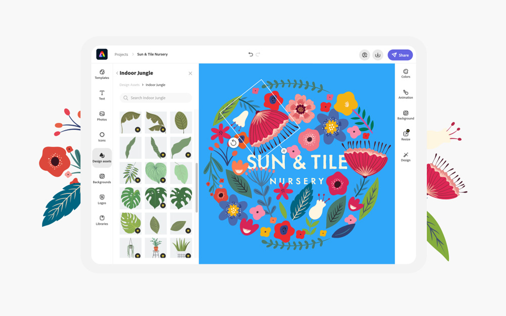 Adobe Creative Cloud