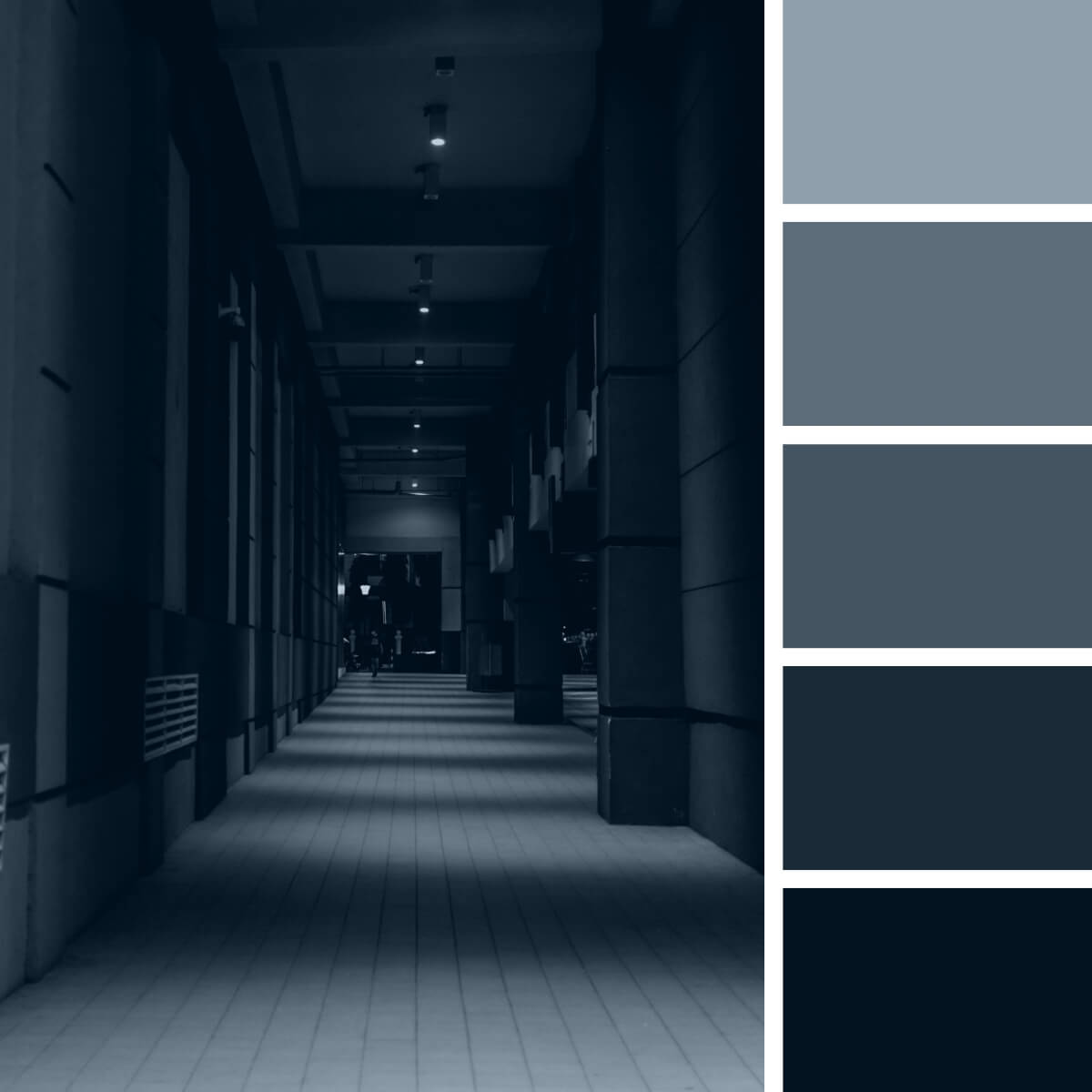Black-Color-Palettes-2.jpg