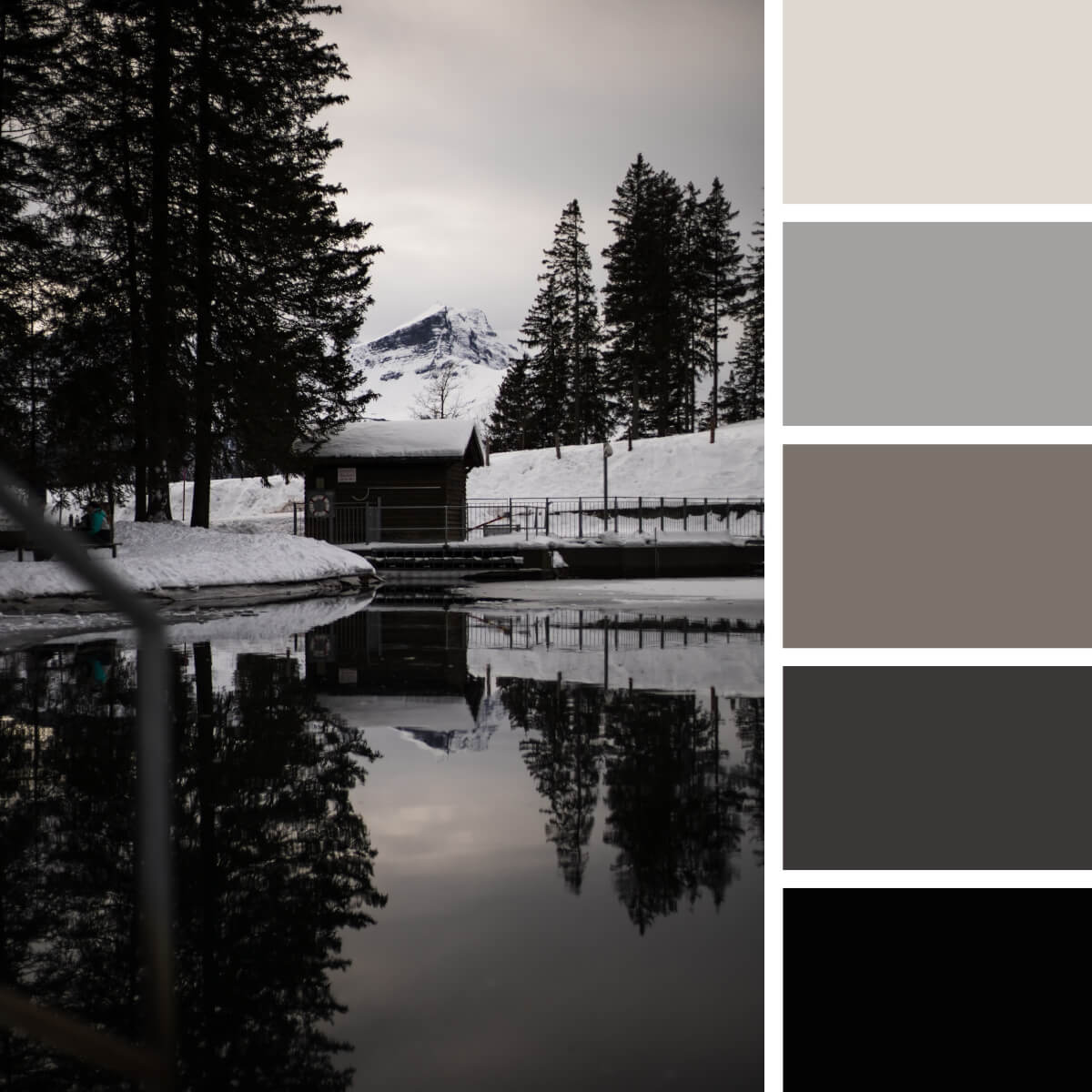 Black-Color-Palettes-3.jpg