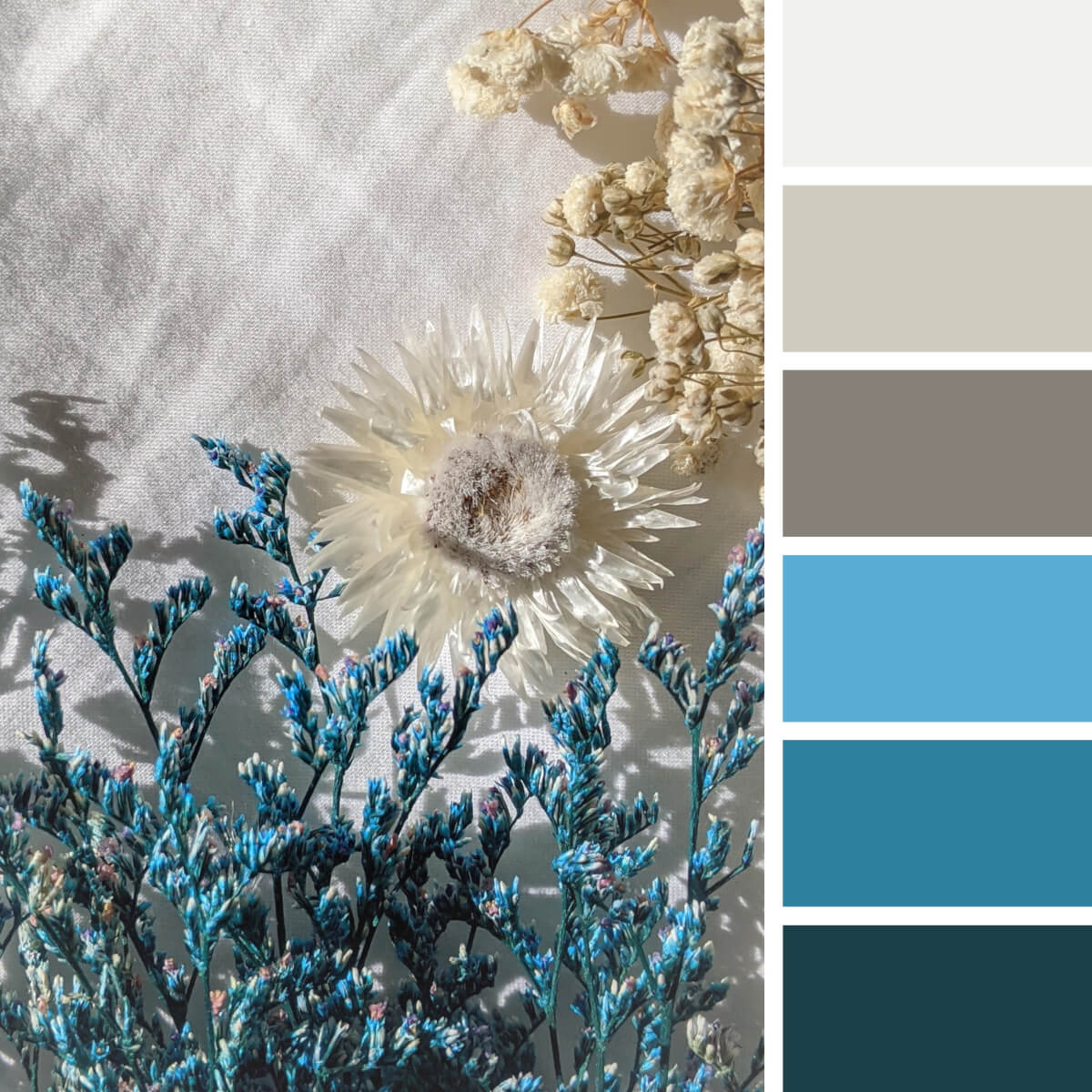 Blue-Color-Palettes.jpg