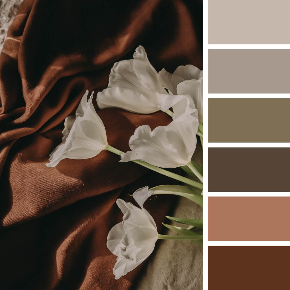 Earthly-Color-Palettes-1.jpg