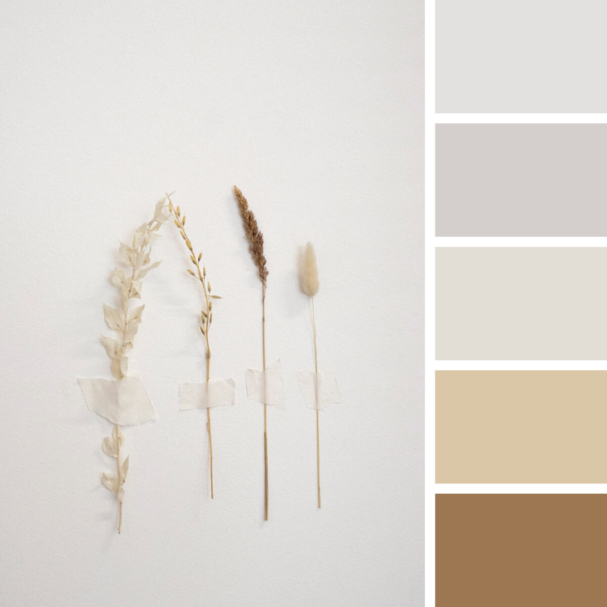 Gray-White-Color-Palettes.jpg