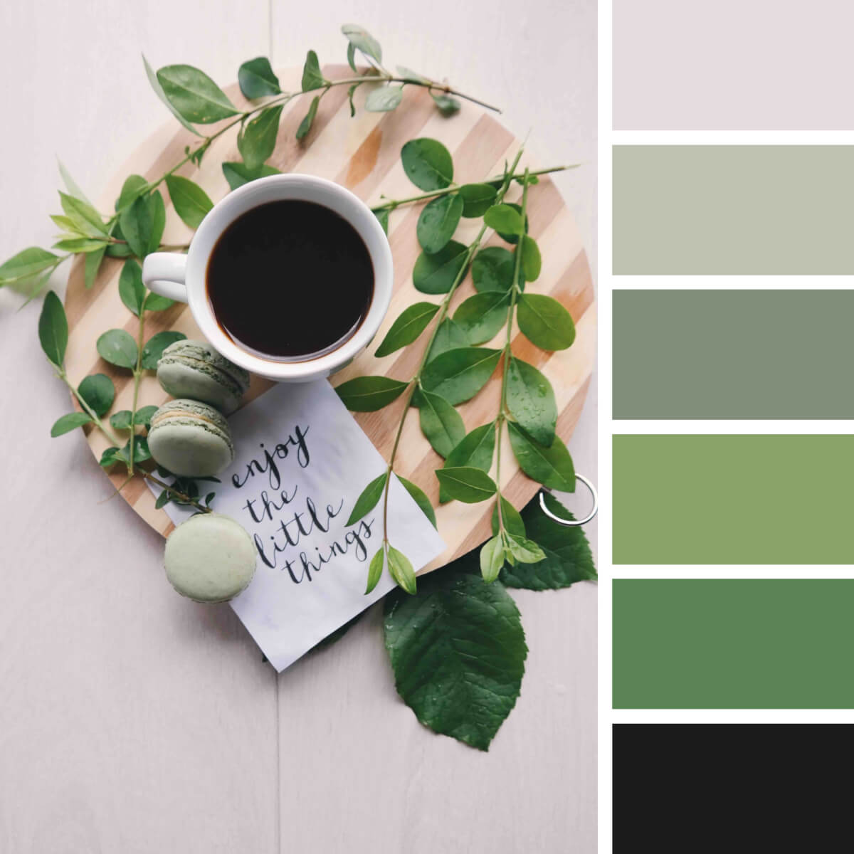 Green-Color-Palettes-2.jpg