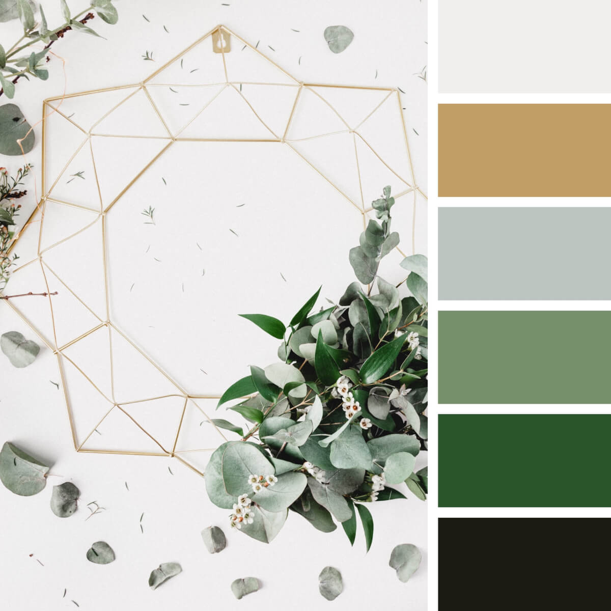 Green-Color-Palettes-3.jpg