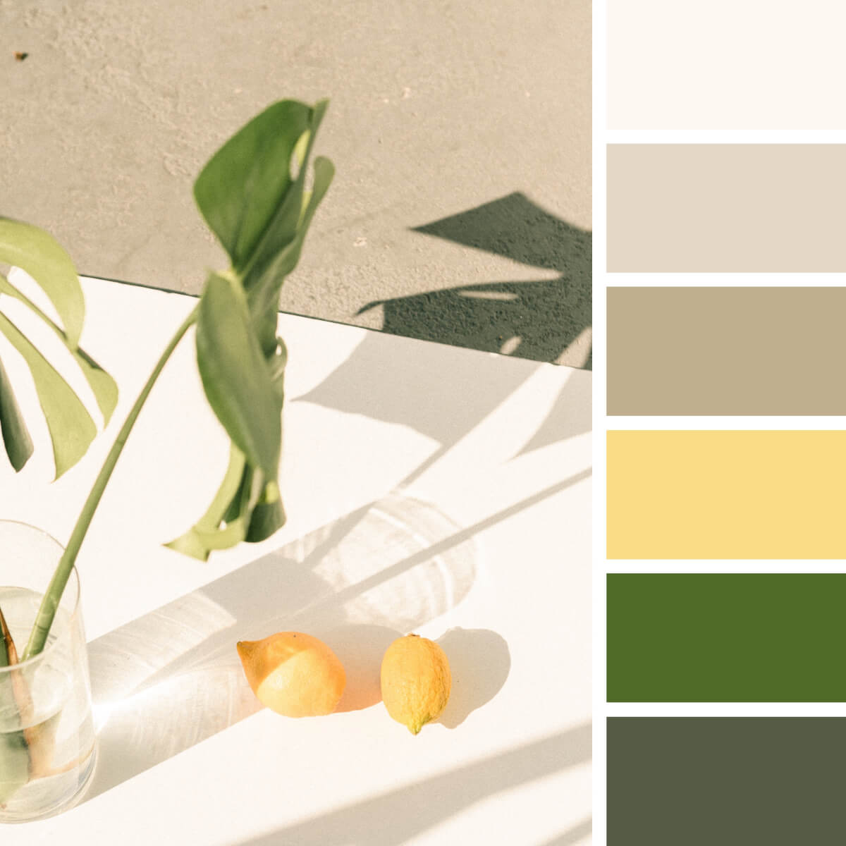 Green-Color-Palettes.jpg