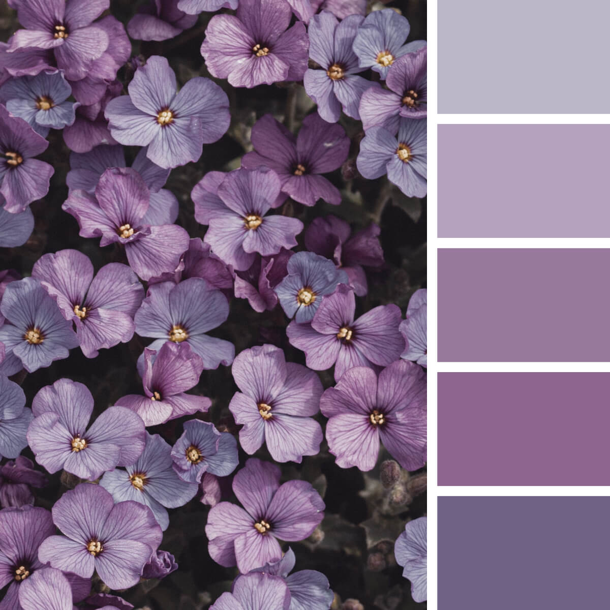 Pink-Purple-Color-Palettes-4.jpg