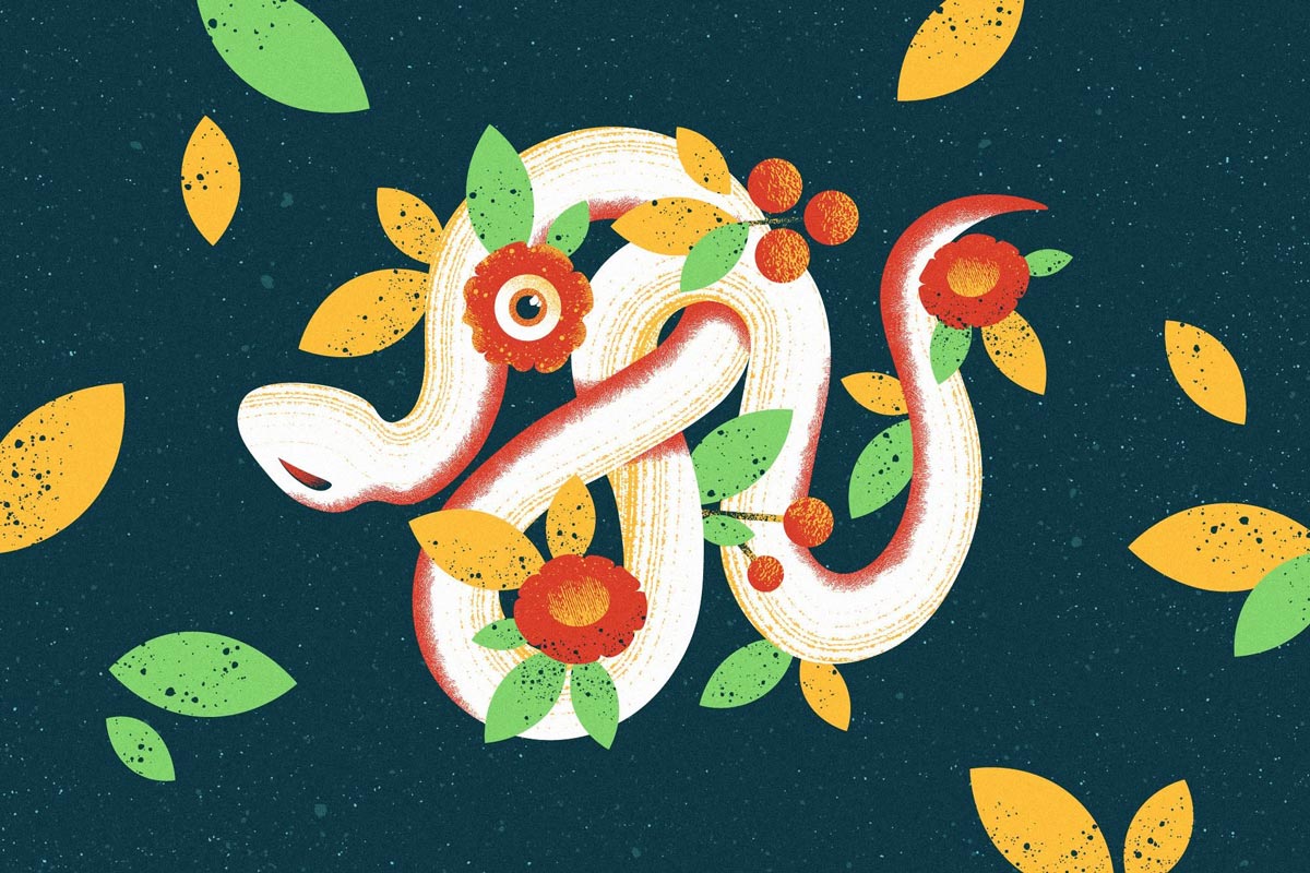 Snake-Illustration-for-Shader-Brushes-Pack.jpg