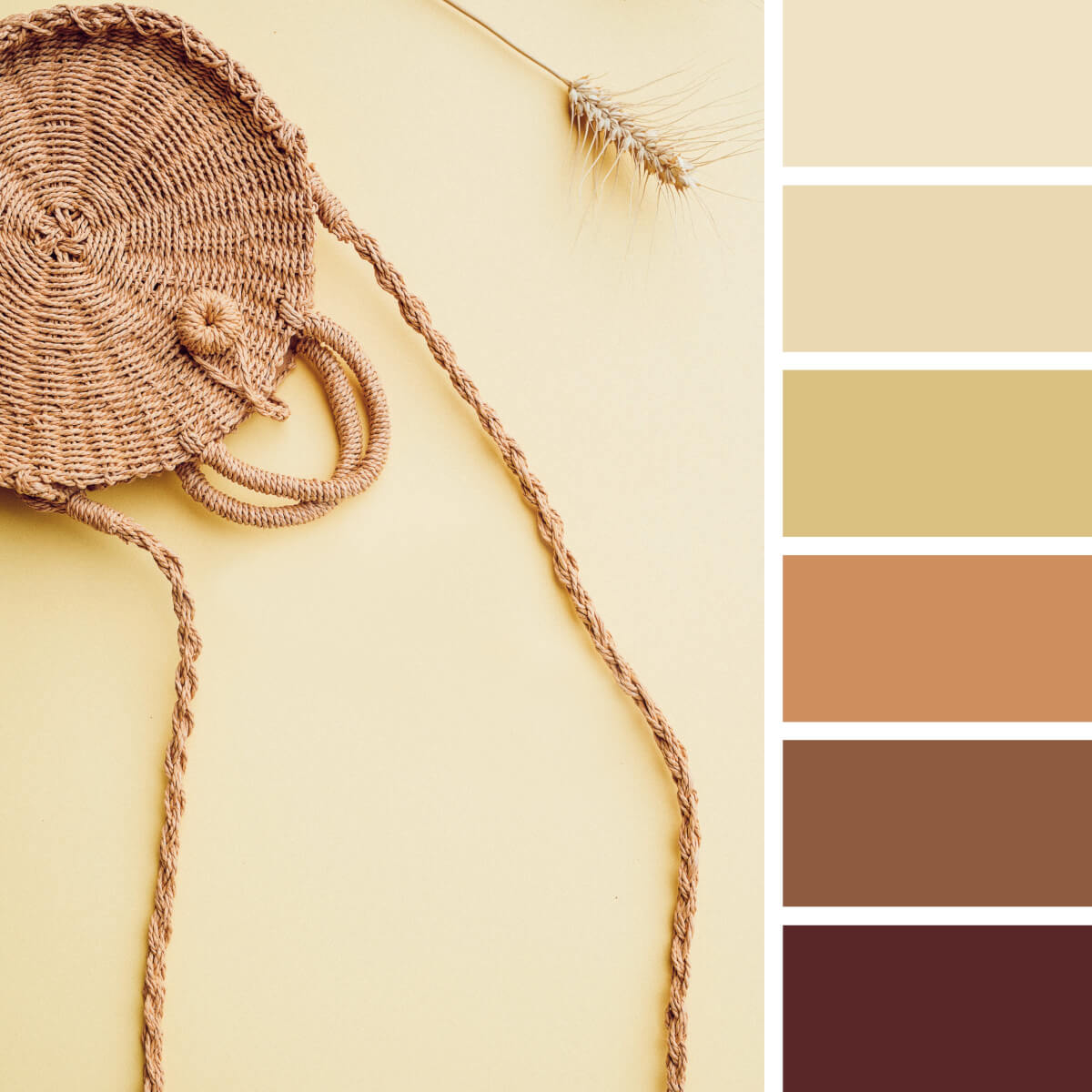 Yellow-Orange-Color-Palettes-4.jpg